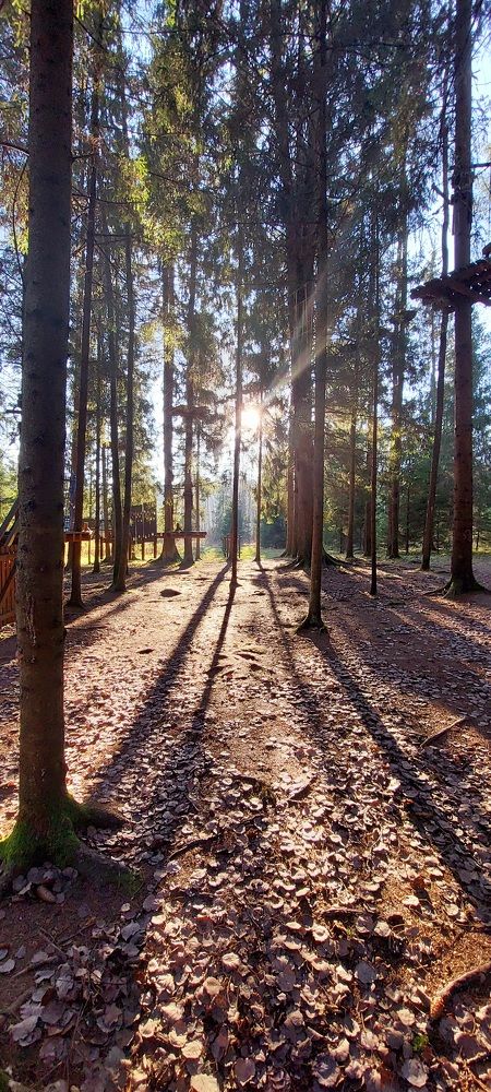 Photograph by Наталия Степовая