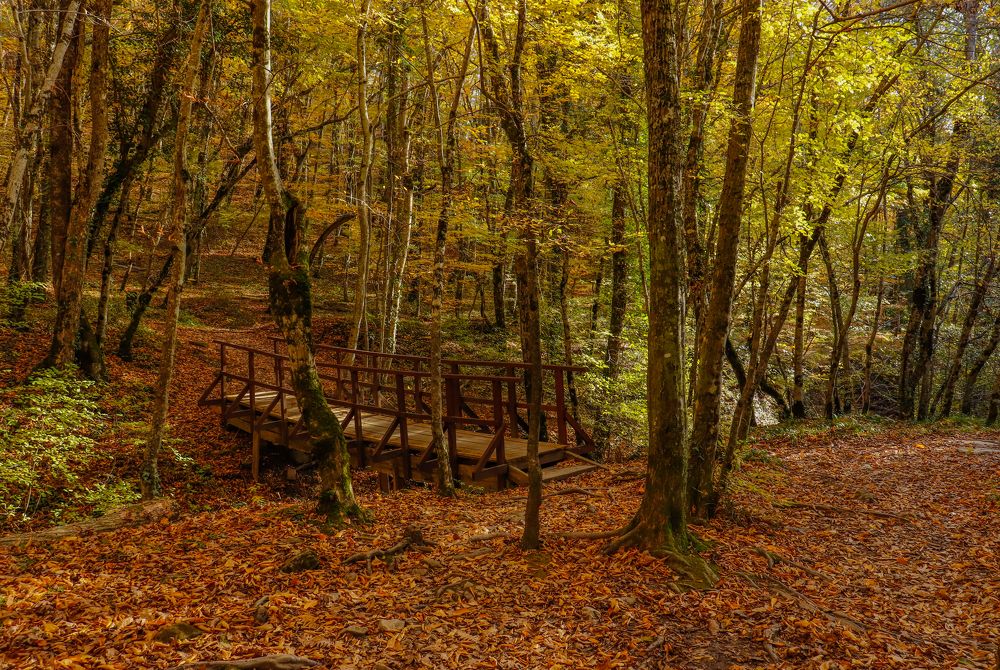 Photograph by Олег Башкуров