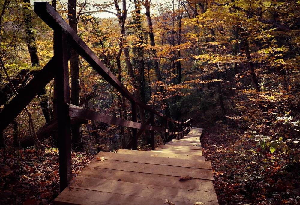 Прогулка по осеннему лесу.