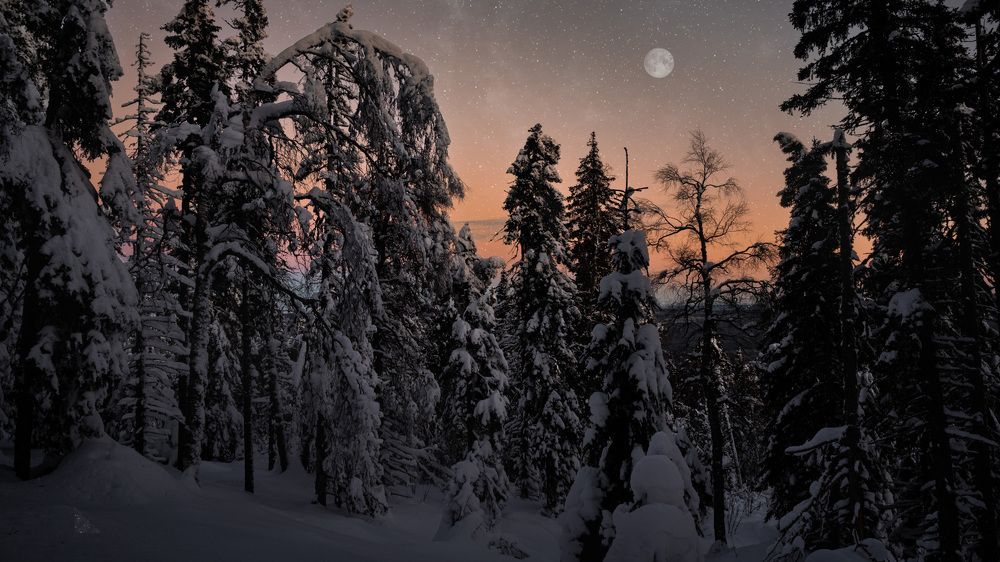 Photograph by Ivan Fedyanin