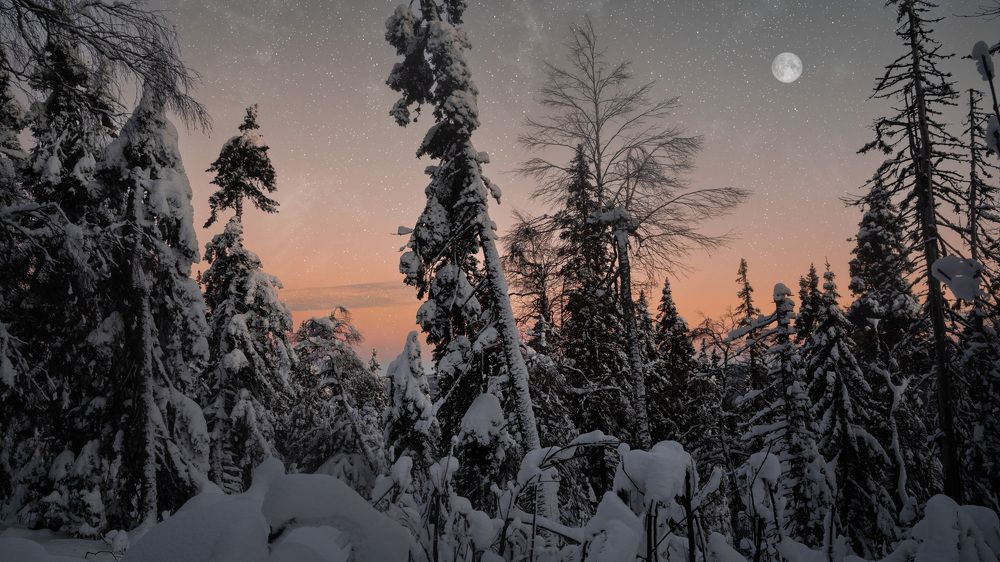 Photograph by Ivan Fedyanin