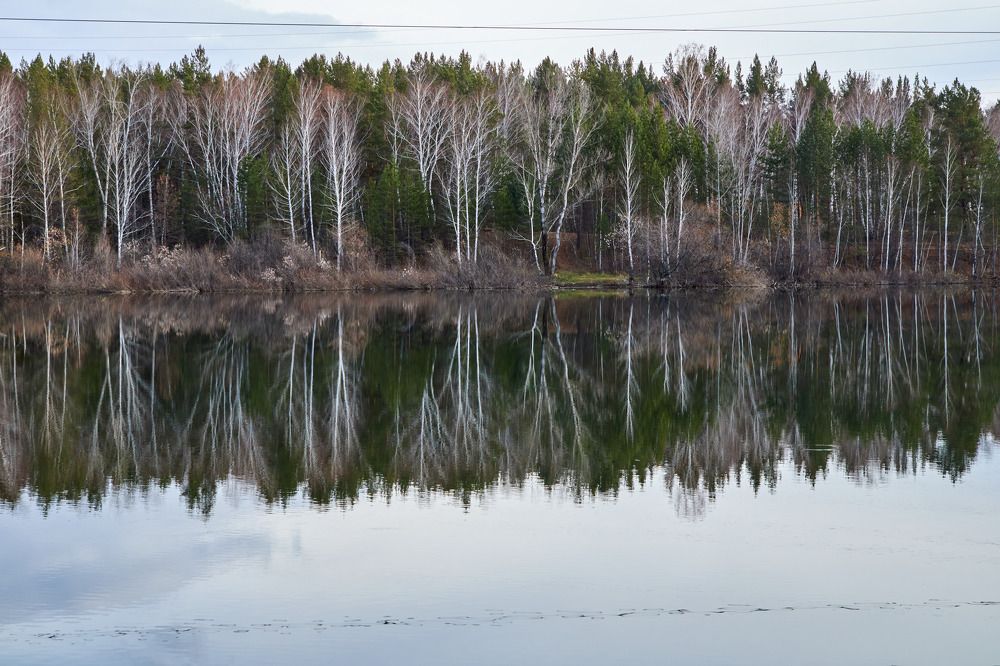 Photograph by Алексей Швецов