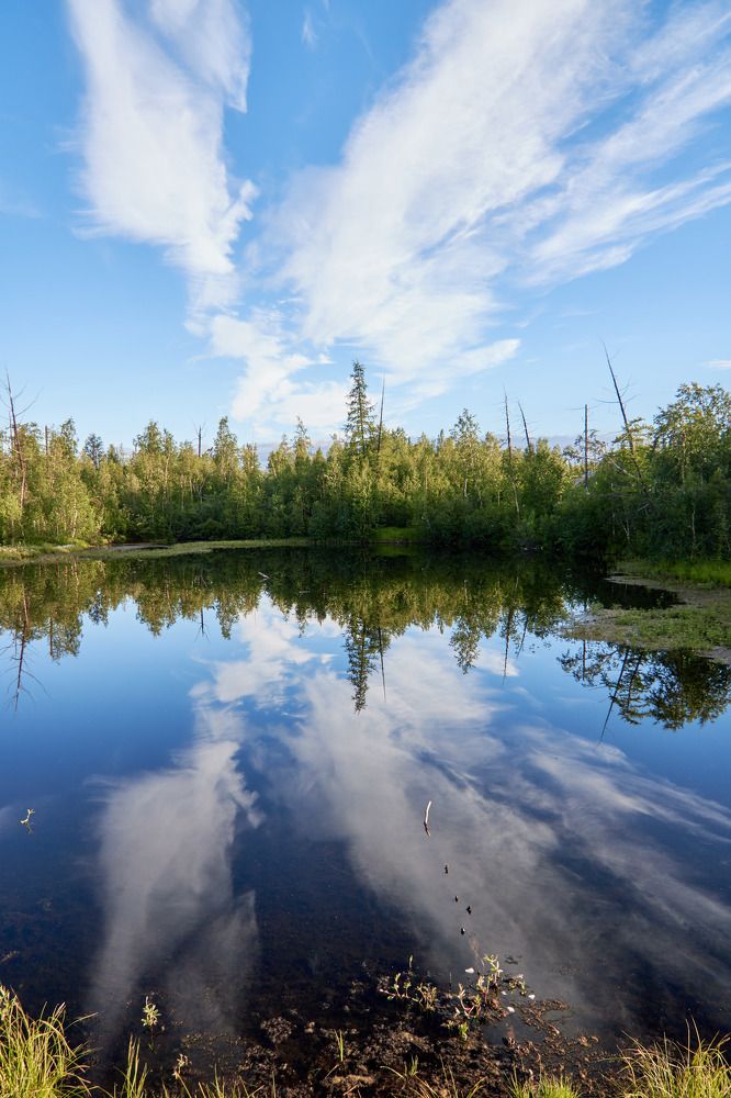 Photograph by Алексей Швецов