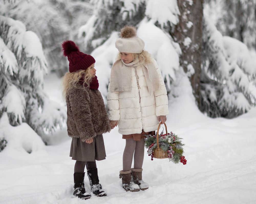 В волшебном лесу