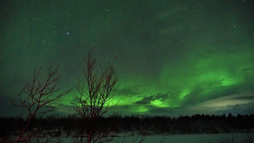 Photograph by Михаил Трусов