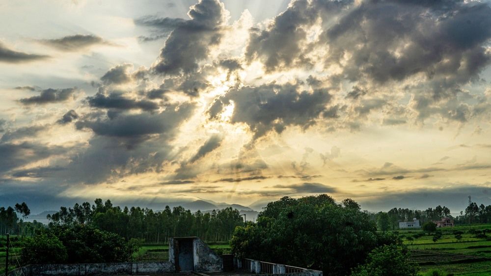 Фотография автора savitri Rawat