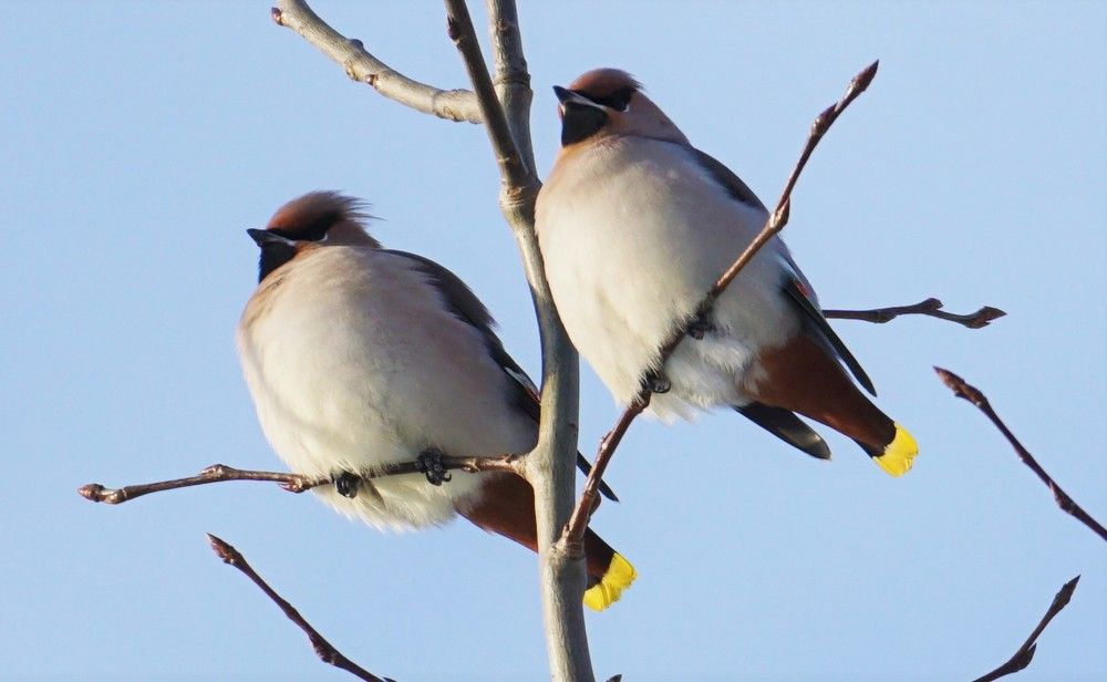 Photograph by Михаил Трусов