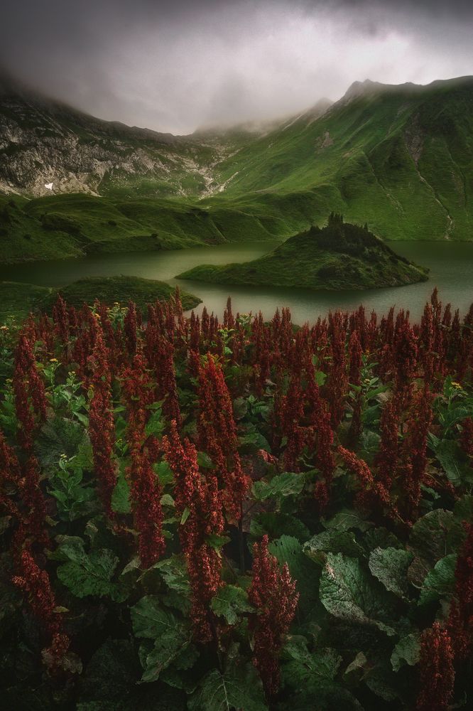 Photograph by Anastasios Gialopoulos