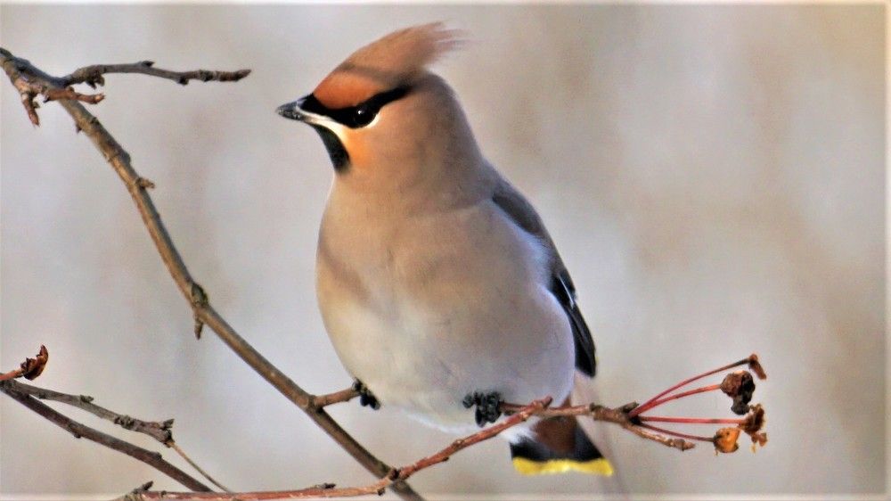 Photograph by Михаил Трусов