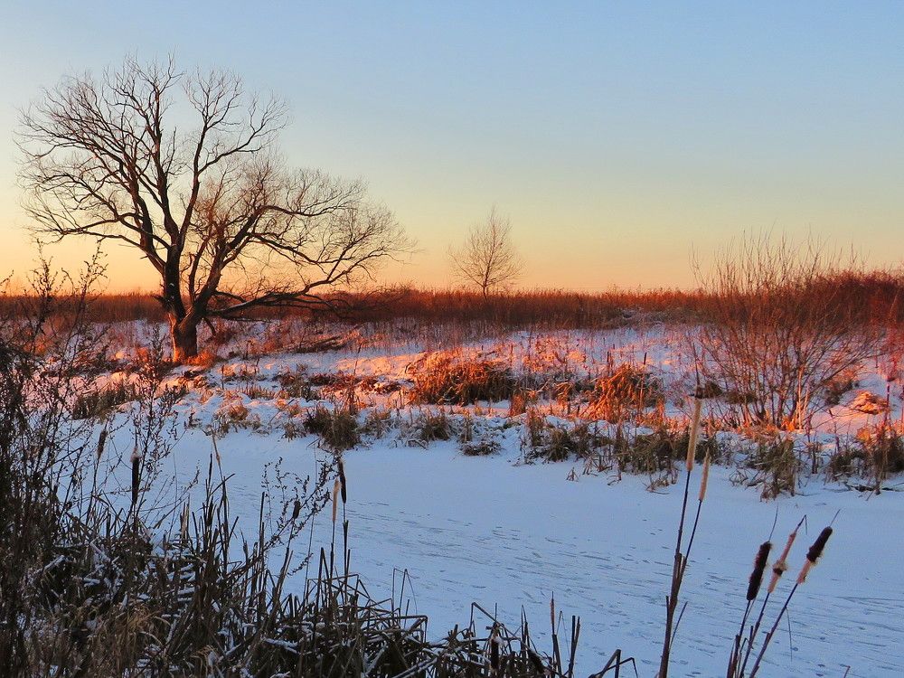 На рассвете