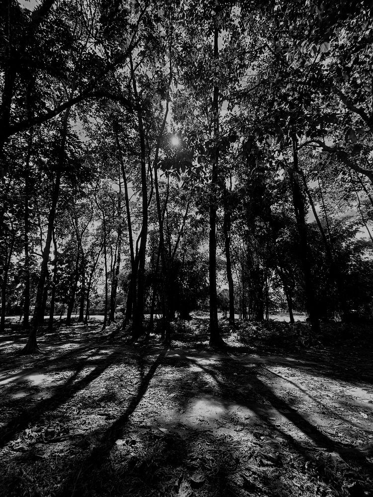 Photograph by Khirud Borah