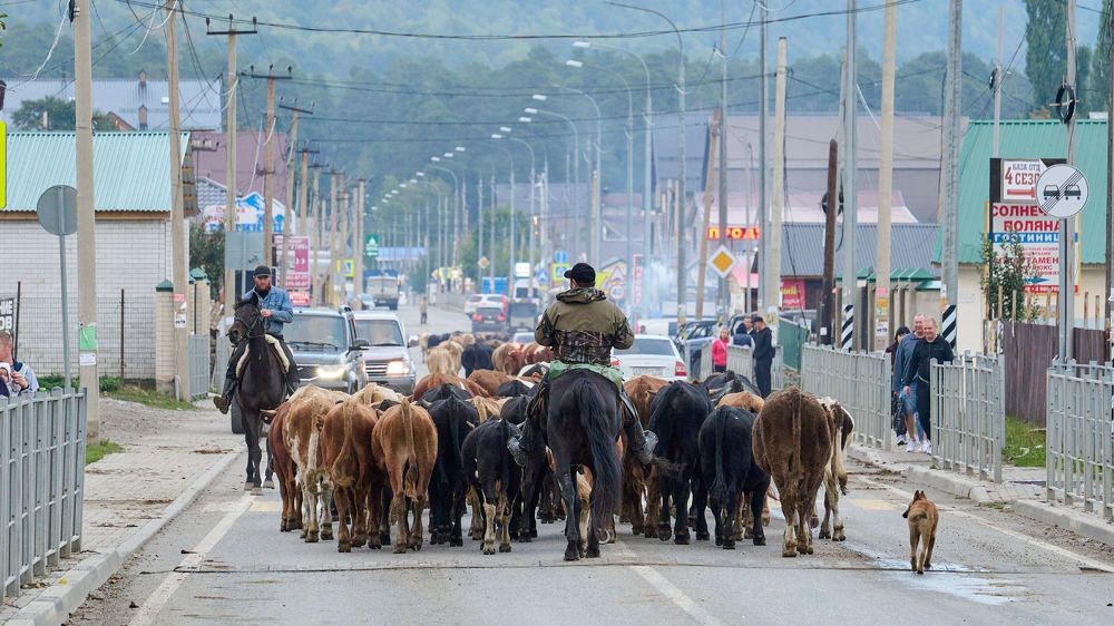 Photograph by Андрей Богатов