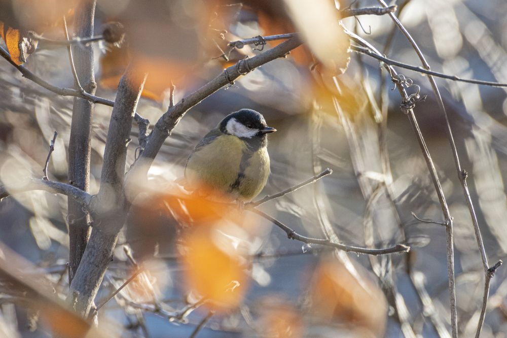 Photograph by Артем Шумов