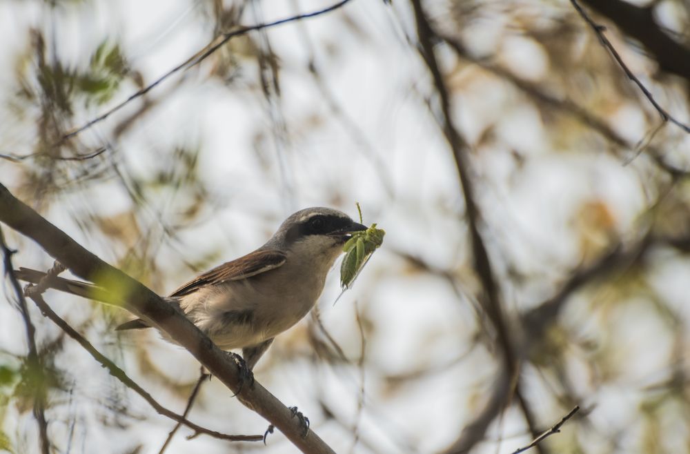 Photograph by Артем Шумов