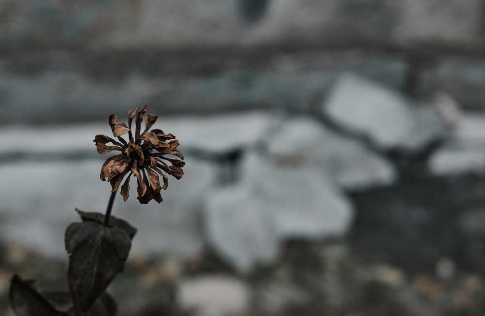 Photograph by Ольга Филатова