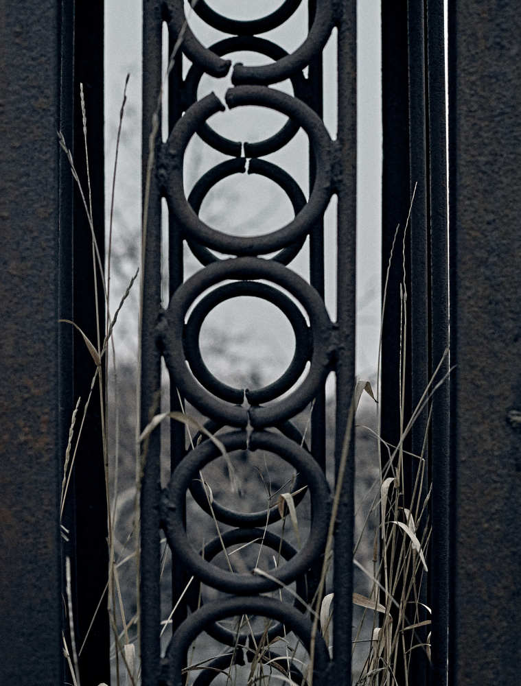 Photograph by Ольга Филатова