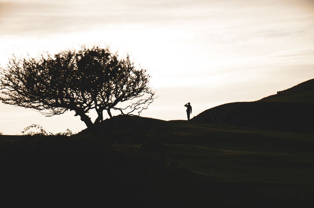 Photograph by Irina Zoteeva