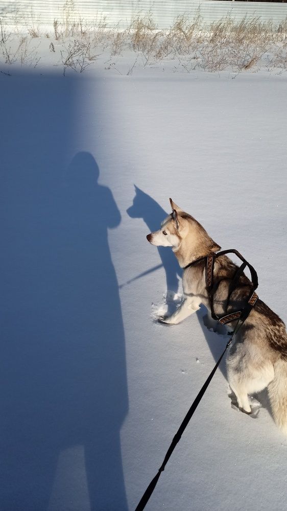 Photograph by Ольга Рогозина