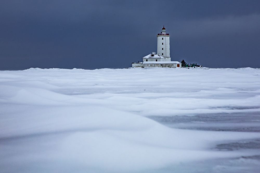 Фотография автора Ксения Зайцева