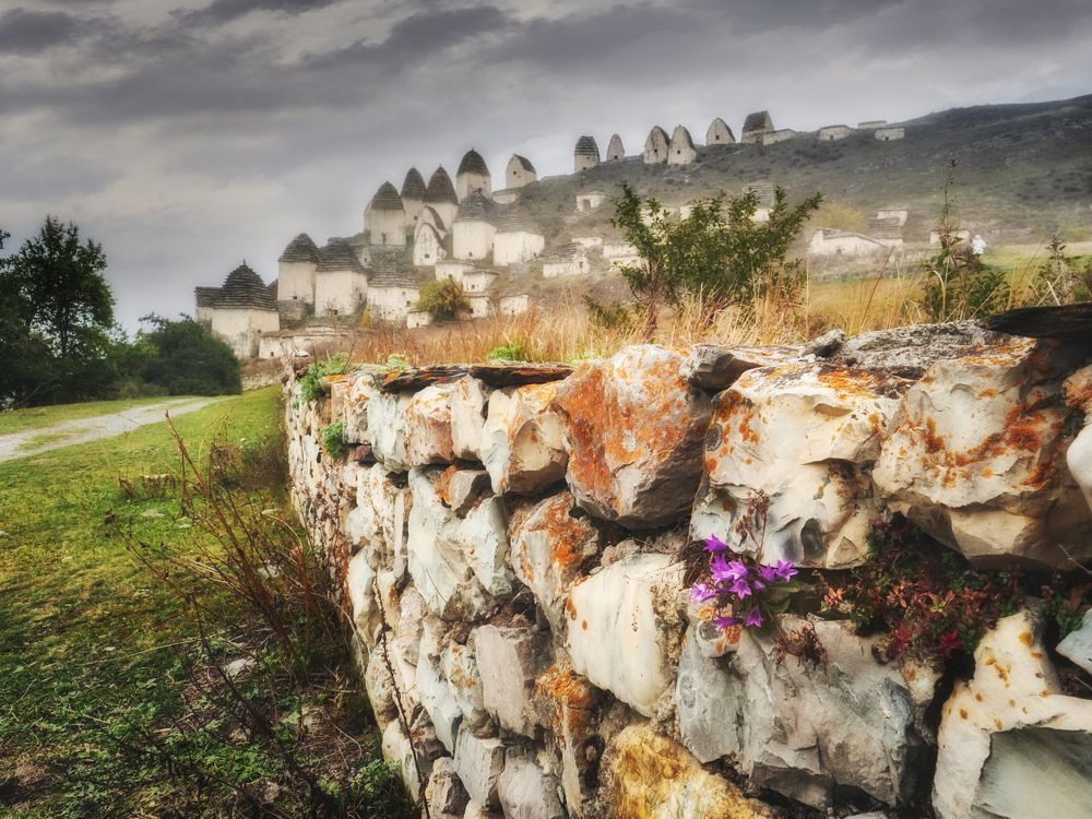 ..и на камнях растут цветы.