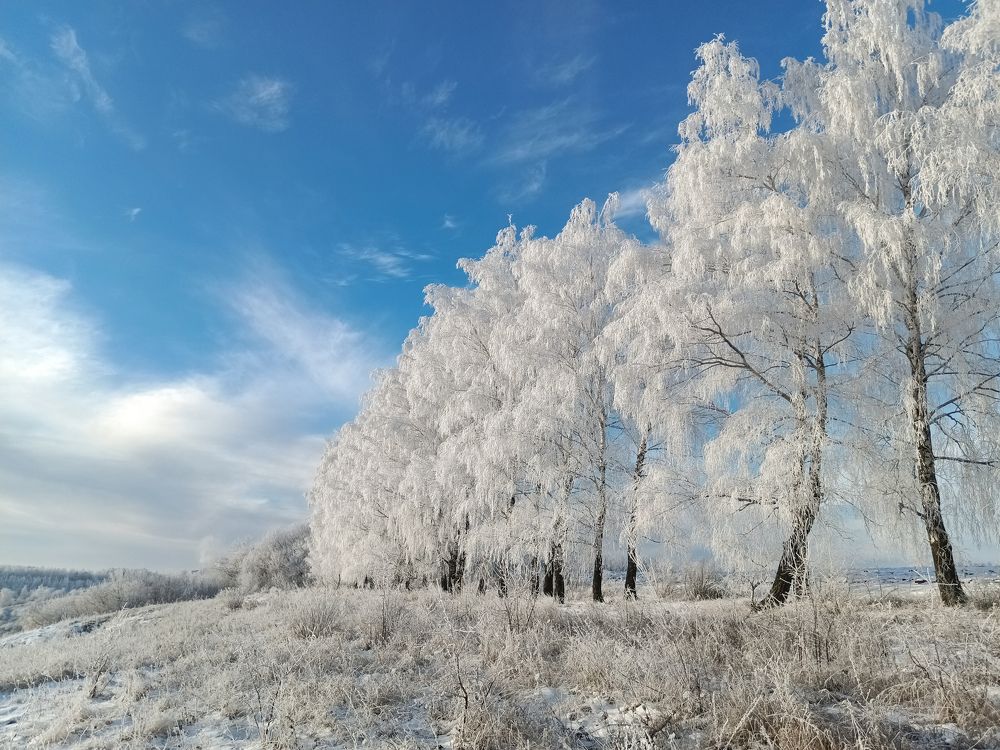 Photograph by Светлана Кондрашова