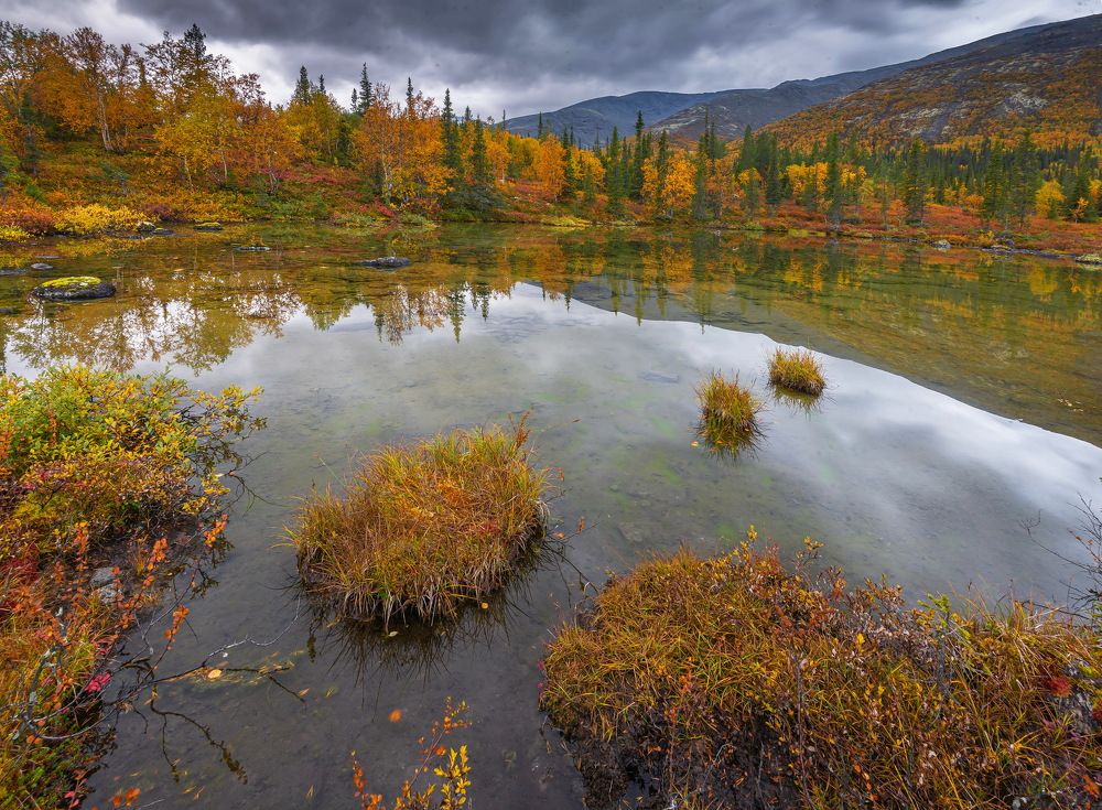 Photograph by Владимир Брагилевский
