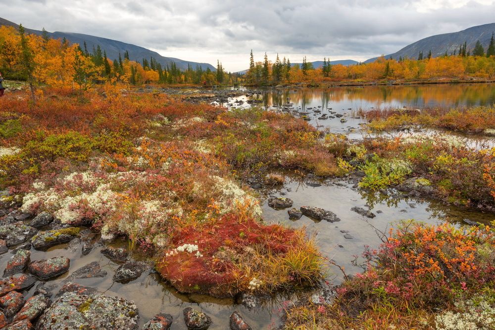 Photograph by Владимир Брагилевский