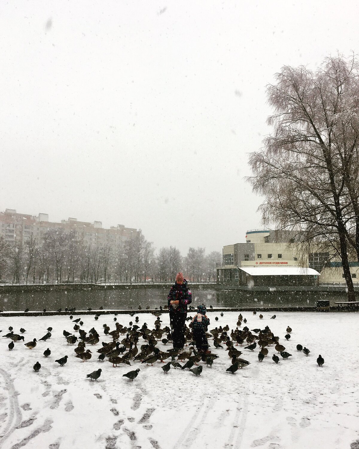 Photo #8472048