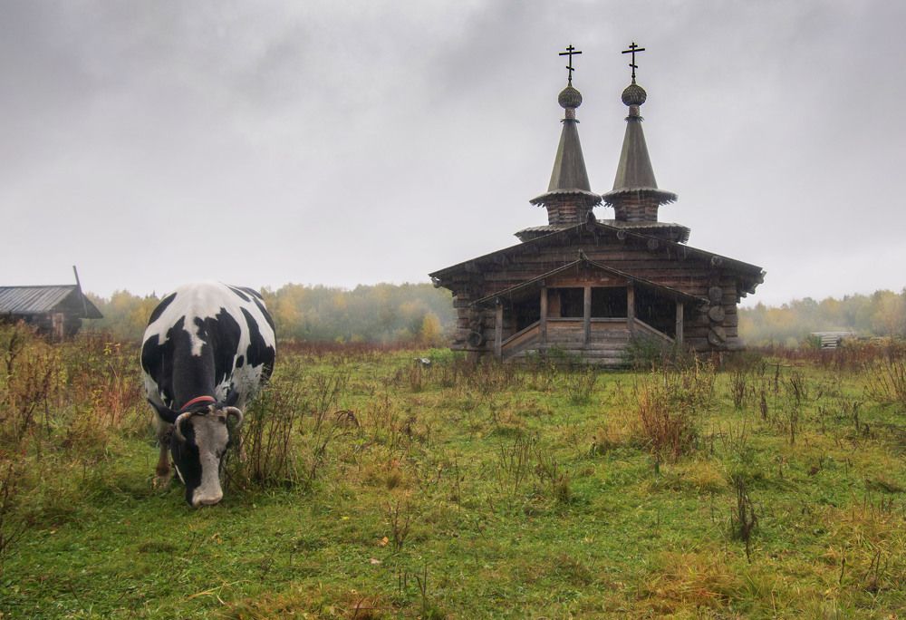 Photograph by Юрьев Борис