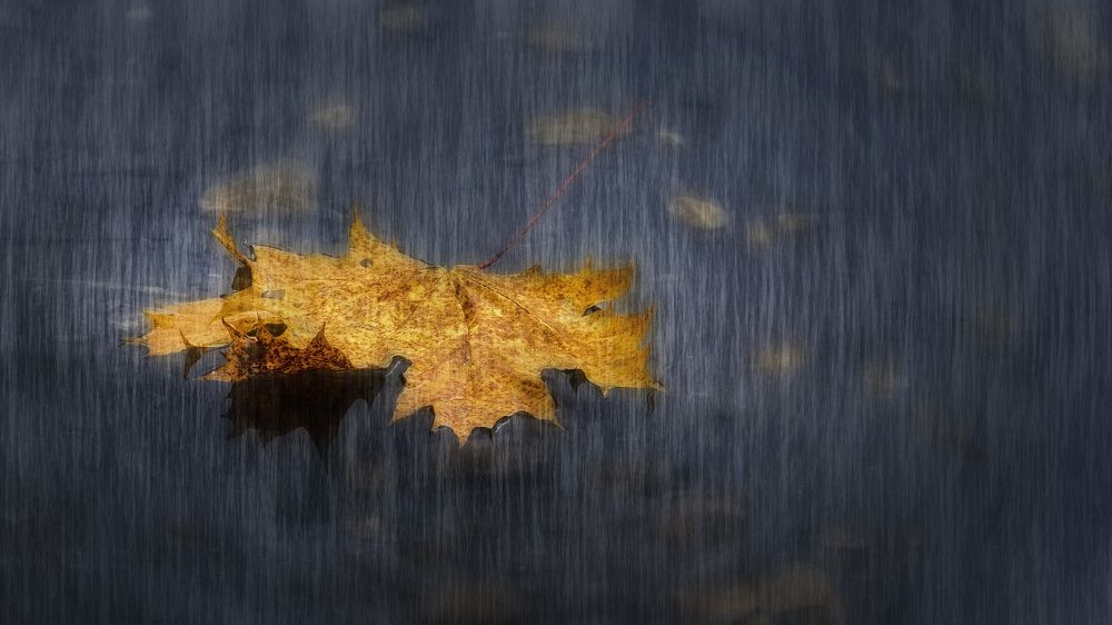 Photograph by Людмила Железнова