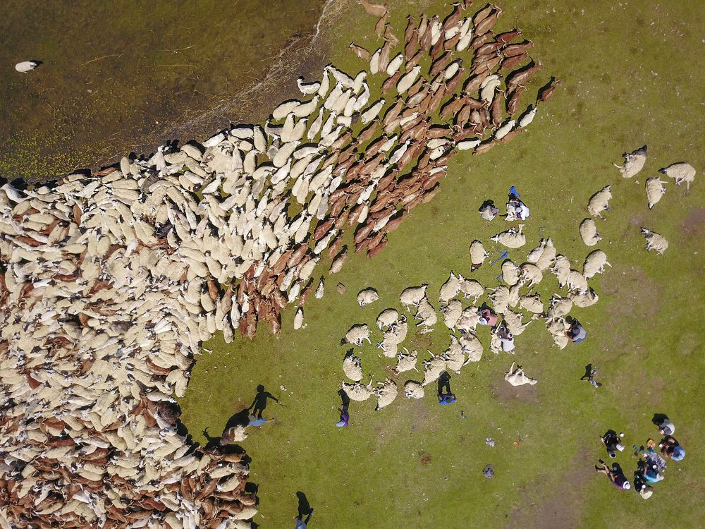 Photograph by Baatarsuren B