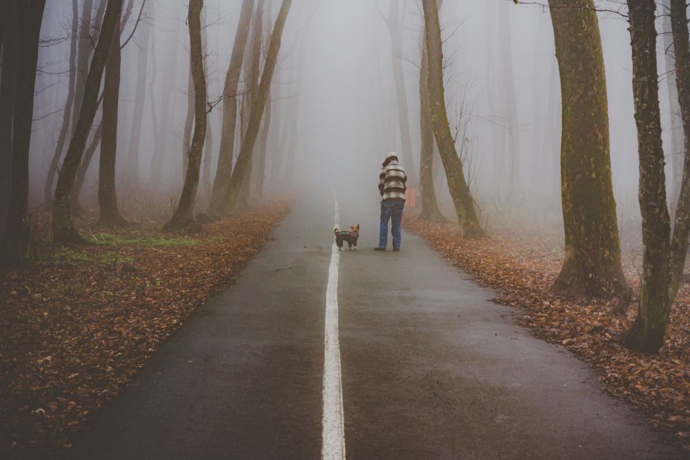 Photograph by Виталий Маслов