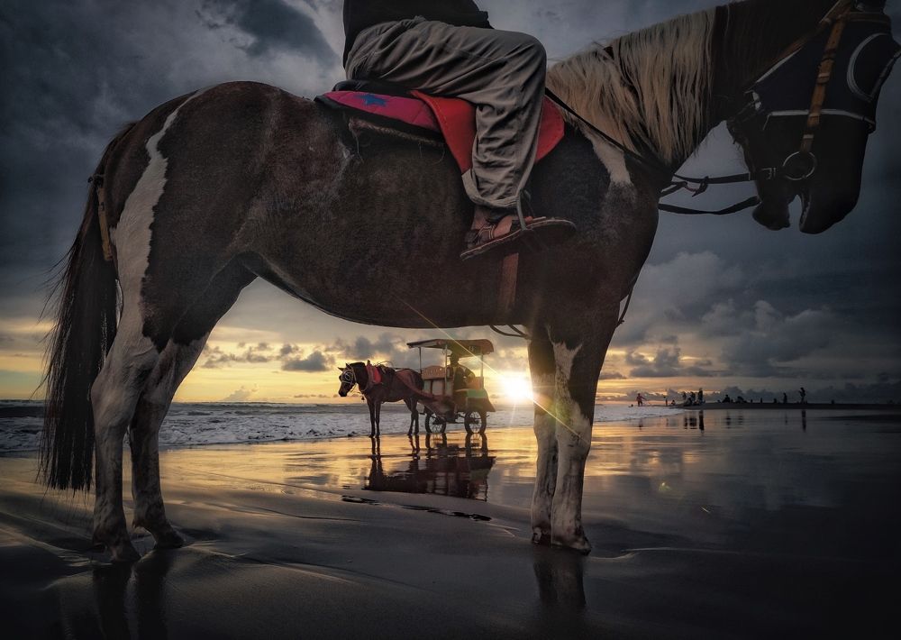 Фотография автора Henri Fitriadi