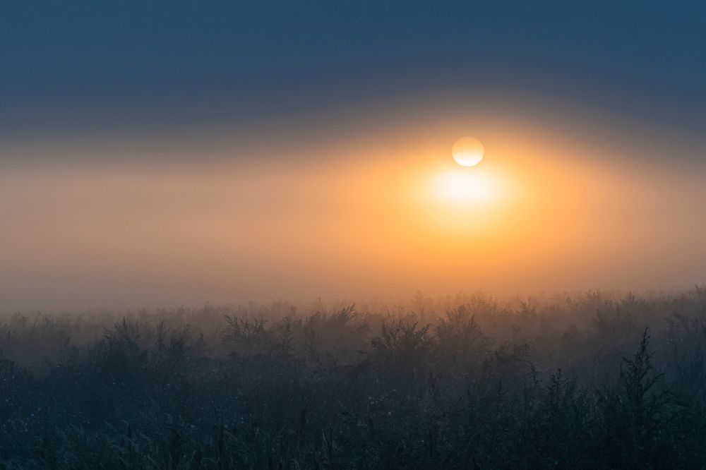 Фотография автора 
