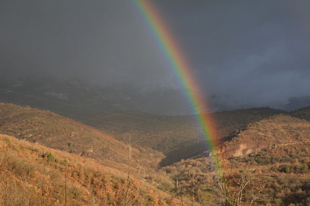 Photograph by Екатерина Крючкова