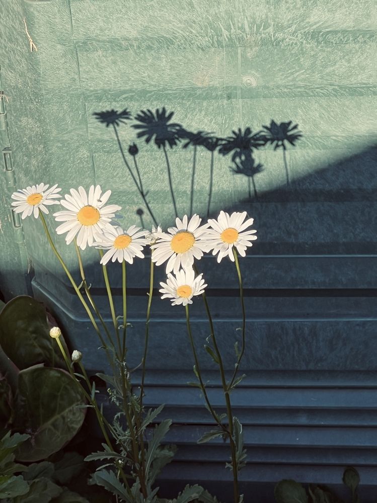 Photograph by Ольга Рачилова