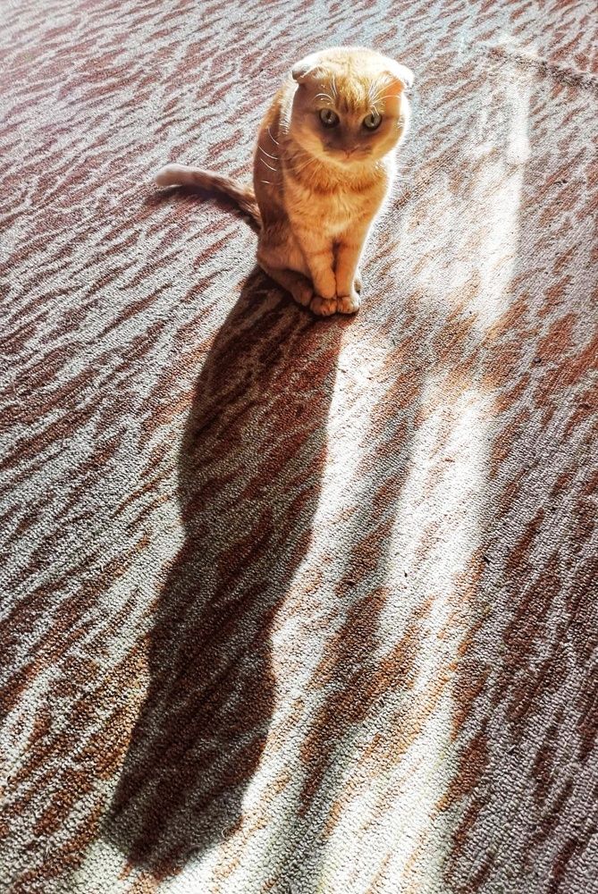 Photograph by Татьяна Бравая