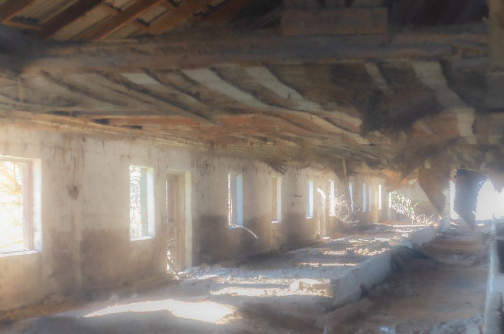 Photograph by Редько Александр