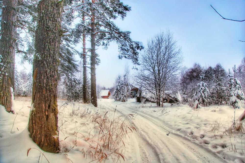 Photograph by Анастасия Самигуллина