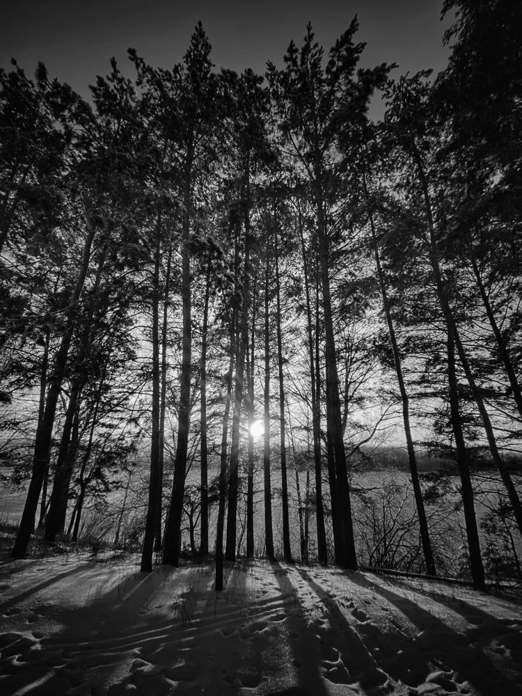 Photograph by Evgenia Privalova