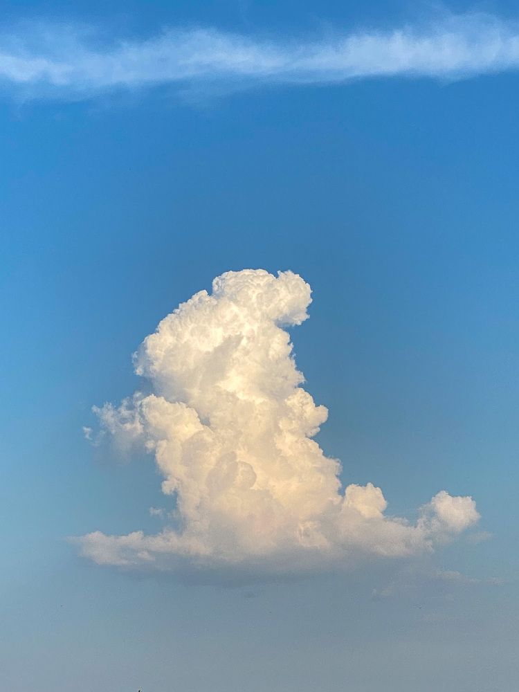 Photograph by Алан Гасымов