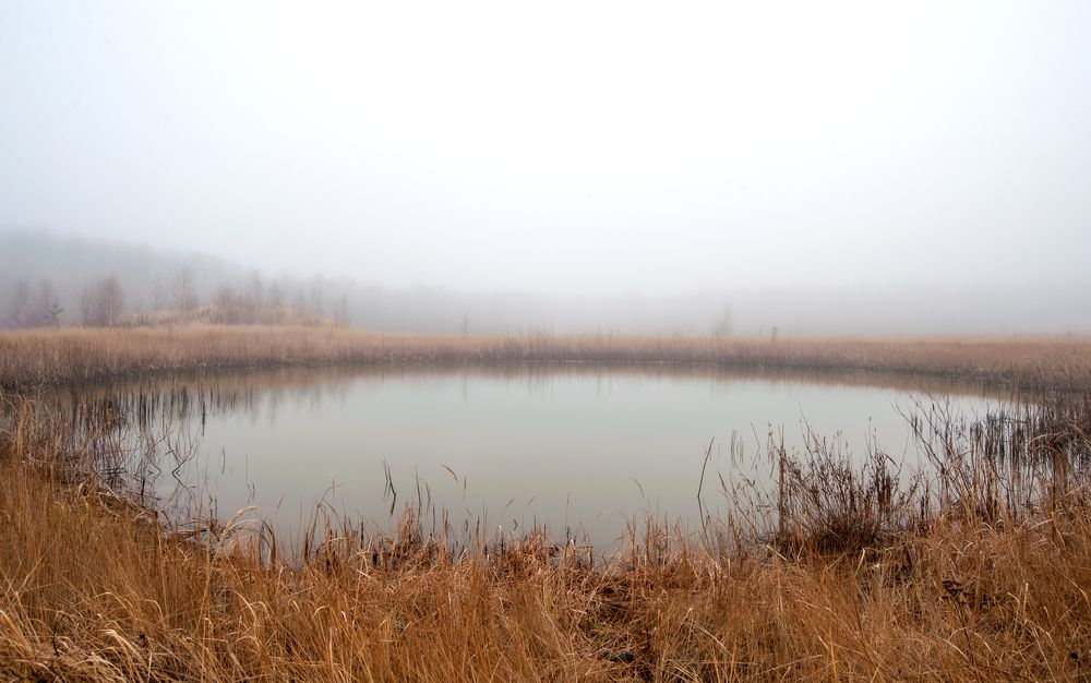 Photograph by Виталий Слёзка