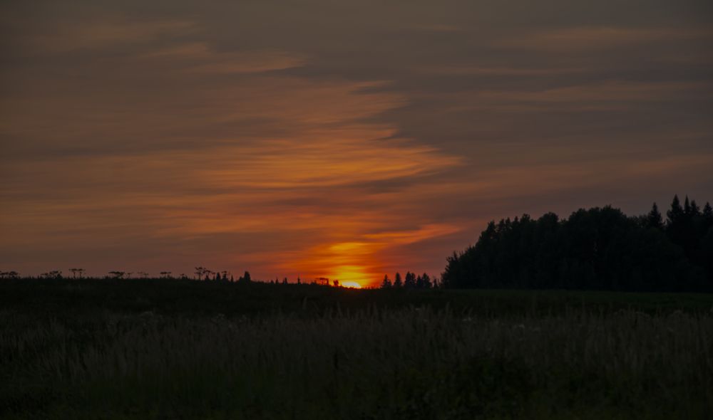 Photograph by Mila Vshivkova