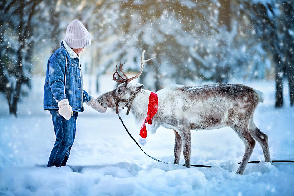 Photograph by Виктория Усманова