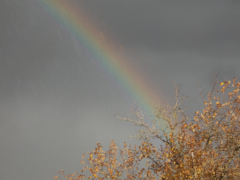 Photograph by Антонина Клементьева