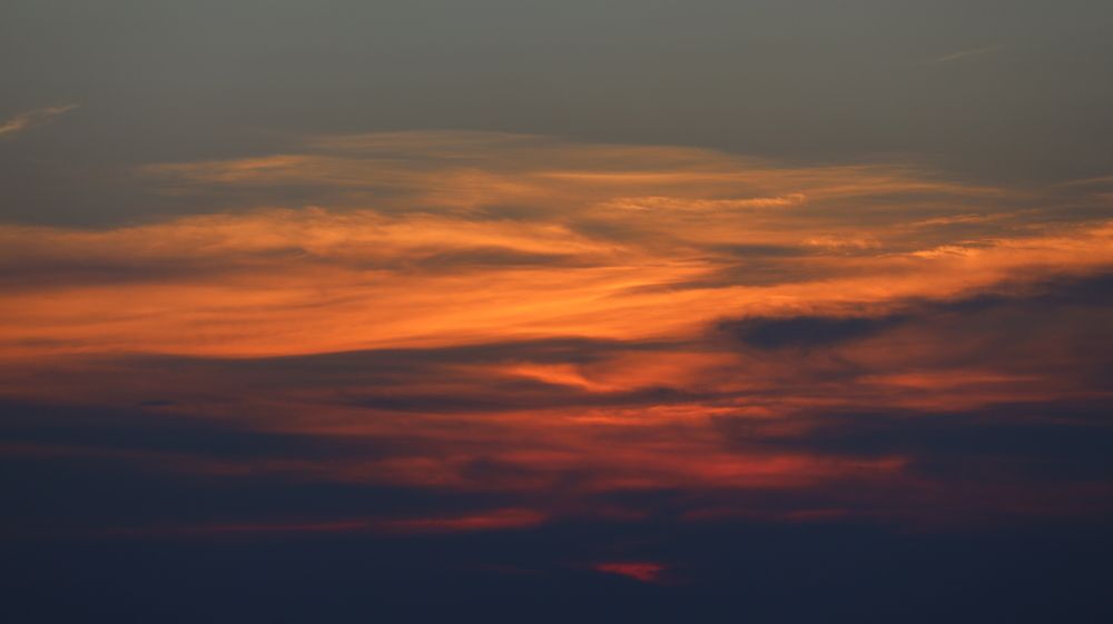 Фотография автора Елена Колосова