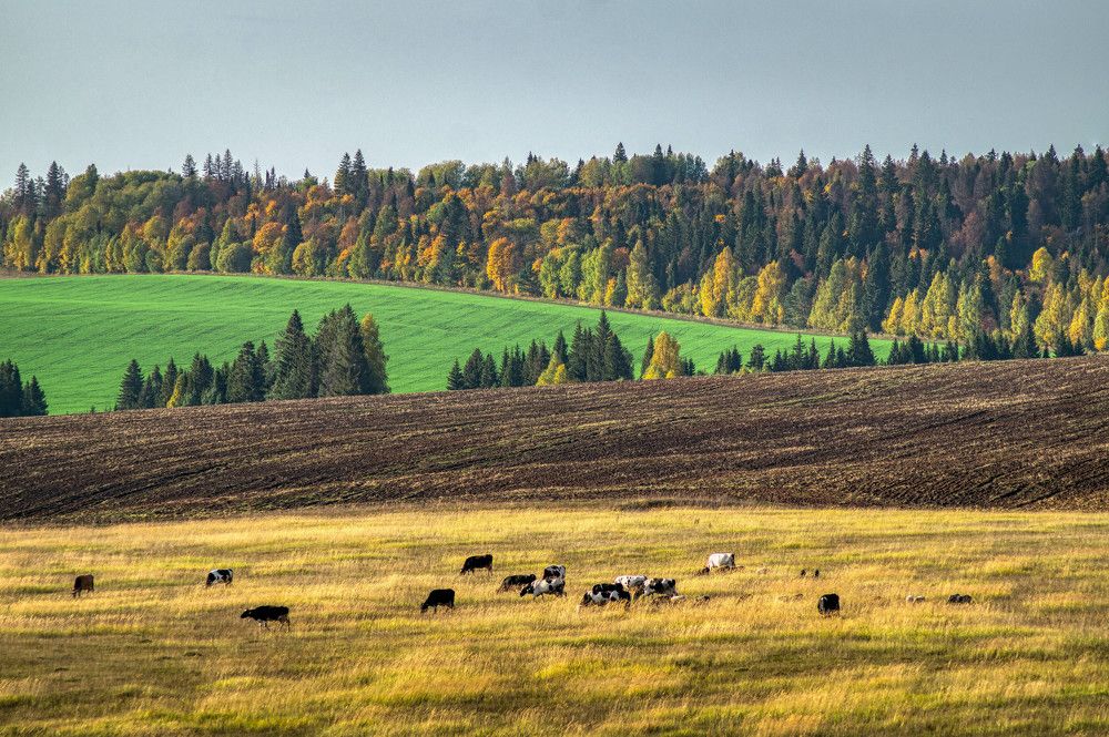 Photograph by Сергей Забиякин