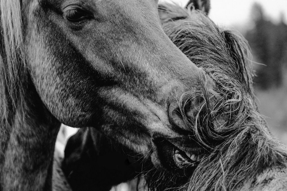 Photograph by Elizaveta