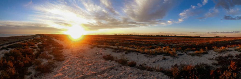 Photograph by Александр Ковлагин