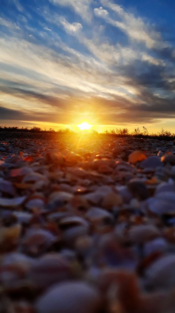 Photograph by Александр Ковлагин